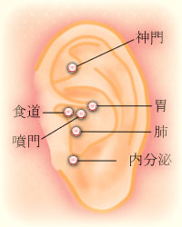 耳つぼ